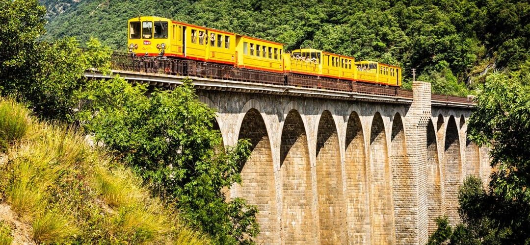 Train Jaune